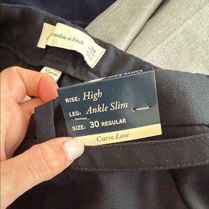 Abercrombie & Fitch Curve Love High Rise Ankle Slim Trousers